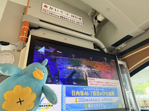 ポカ｜ポカさんぽ2026 in横浜（2026-04-03）｜8枚目