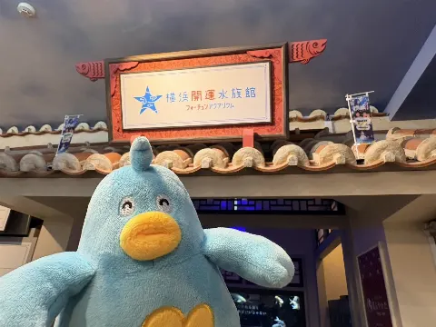 ポカ｜ポカさんぽ2026 in横浜（2026-04-03）｜10枚目