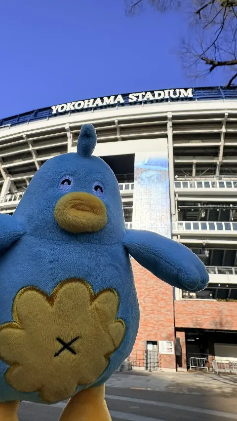 ポカ｜ポカさんぽ2026 in横浜（2026-04-03）｜17枚目