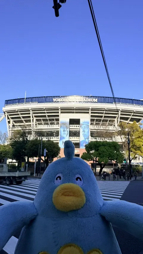 ポカ｜ポカさんぽ2026 in横浜（2026-04-03）｜18枚目