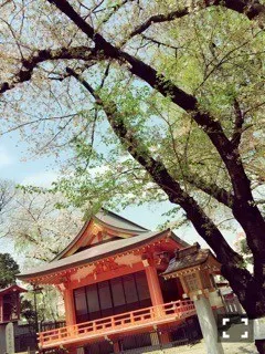 相楽 伊織｜ぎょうざのにんにく_(.   .   *) vol.21（2015-04-10）｜2枚目
