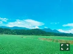 久保 史緒里｜私の地元、宮城県。（2020-02-20）｜3枚目