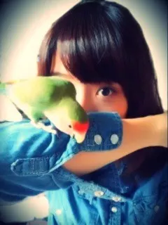深川 麻衣｜あけましておめでとうございます ＊ まいまい（2012-01-01）