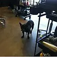 深川 麻衣｜手袋してくるの忘れたーー ＊ まいまい（2012-01-07）｜2枚目