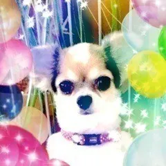 深川 麻衣｜Helloweenだよーーー ＊ 290（2012-10-31）｜2枚目