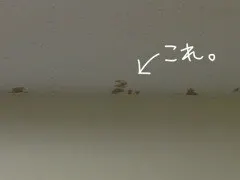 深川 麻衣｜健康のありがたみ＊ 369paces（2013-02-21）