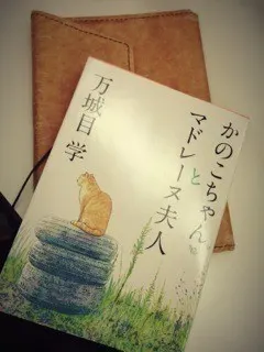 深川 麻衣｜さて問題です。若月は今日アイスを何個食べたでしょうか？ ＊ 375paces（2013-03-02）