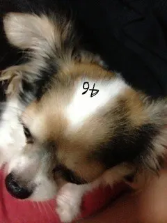 深川 麻衣｜雨風がすごい〜(>_<)  ＊ 496paces（2013-09-16）｜3枚目