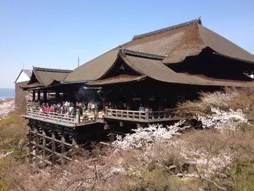 深川 麻衣｜メープルシロップの 甘さ ＊ 616歩（2014-04-27）｜2枚目