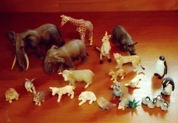 深川 麻衣｜手のり恐竜 ＊ 651歩（2014-09-08）｜3枚目
