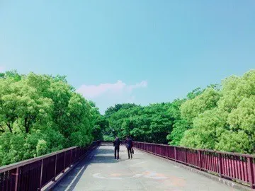 深川 麻衣｜緑に触れる ＊ 708歩（2015-05-14）｜2枚目