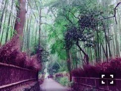 深川 麻衣｜京都ぶらり旅。 ＊ 741歩（2015-10-12）｜4枚目