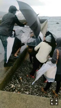 深川 麻衣｜今日は寒かった。  ＊ 752歩（2015-11-25）｜4枚目