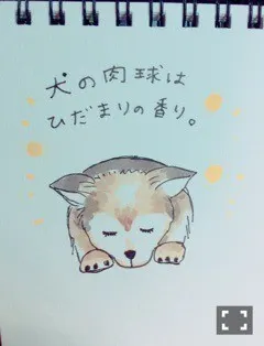 深川 麻衣｜部屋が寒すぎて冷蔵 庫みたい ＊ 755歩（2015-12-09）｜5枚目