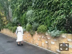 深川 麻衣｜ゴッホより〜普通に 〜♪ ＊ 766歩（2016-01-27）｜3枚目