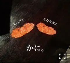 深川 麻衣｜今日は短めなブログ ＊ 795歩（2016-05-18）