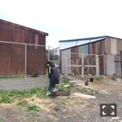 深川 麻衣｜光るクラゲが見たい！ ＊ 797歩（2016-05-28）｜2枚目