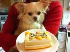 安藤 美雲｜ちょっと遅れちゃった( ；´Д｀)しゃく'S Birthday！（2012-03-06）
