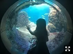 中村 麗乃｜きみがいて本当によかった。70（2018-08-23）｜3枚目
