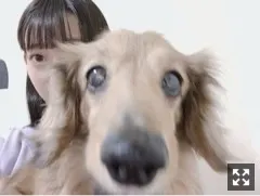 阪口 珠美｜全国握手会ありがとうございましたっ（2019-03-13）｜5枚目