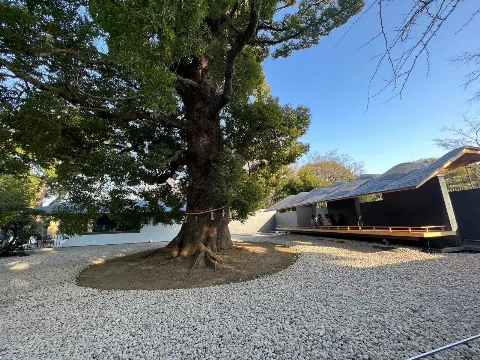 阪口 珠美｜4月生まれのみなさんおめでとうございます（2023-04-02）｜2枚目
